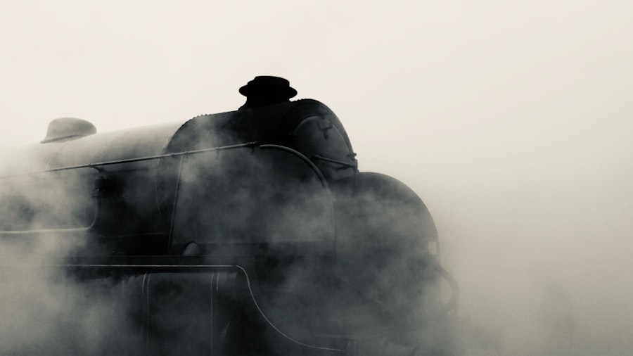 Steam cleaner