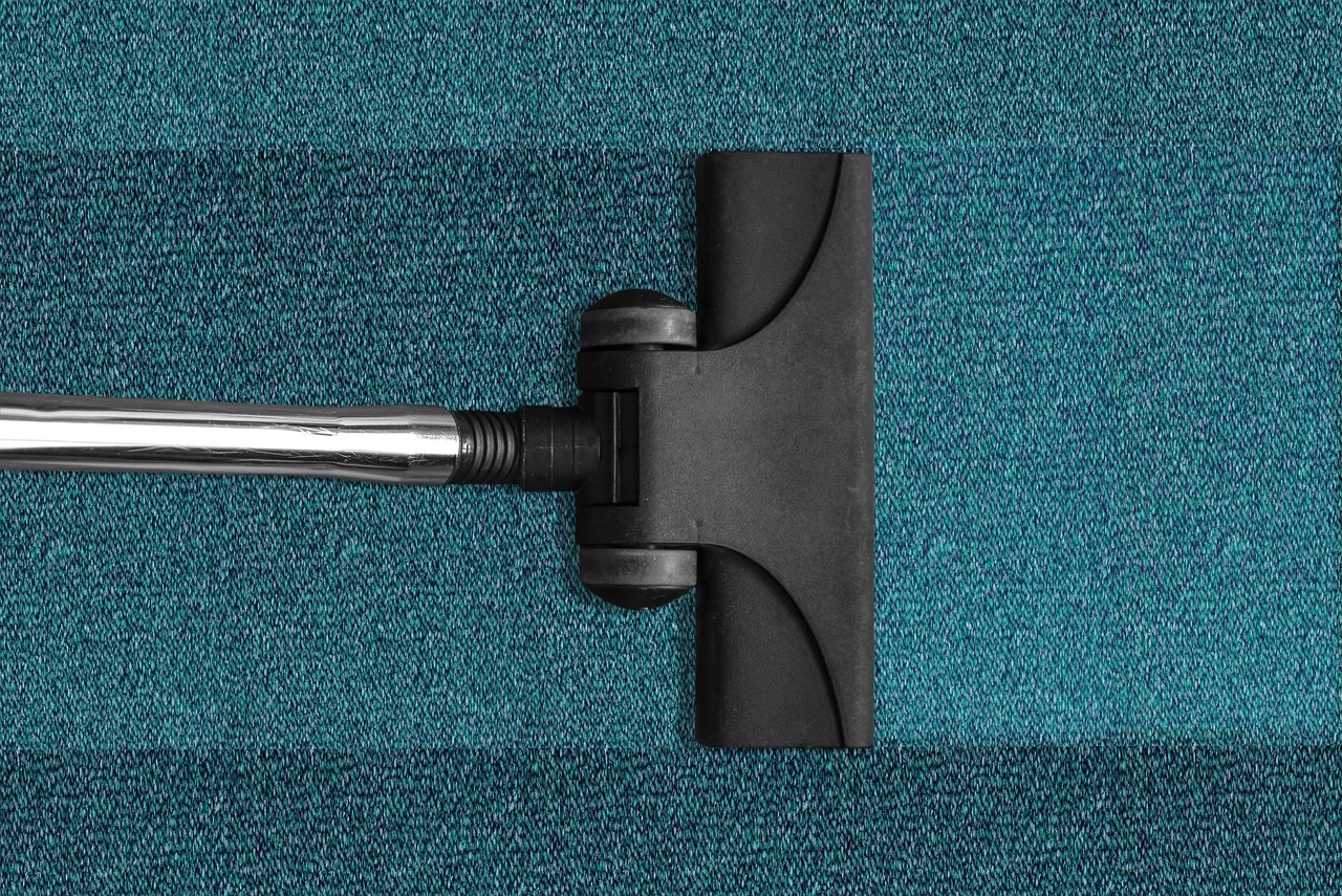 services-02 vacuum cleaner, vacuuming, cleaning, cleanup, carpet, carpeting, vacuum, clean, cleanliness, cleaning equipment, cleaning, cleaning, cleaning, cleaning, cleaning, carpet, carpet, clean